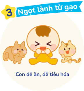 はじめてやっぱりお米